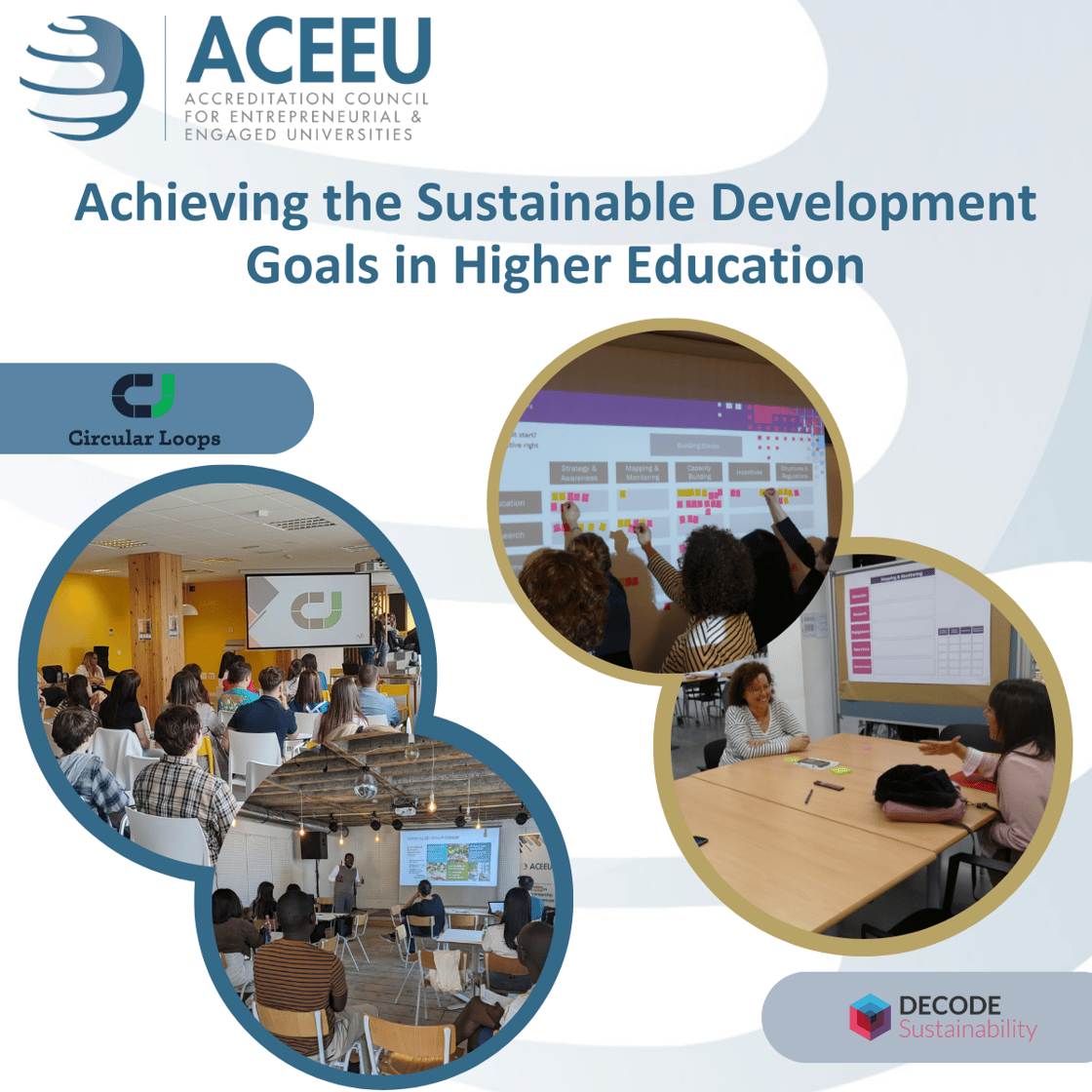 5 sustainability projects